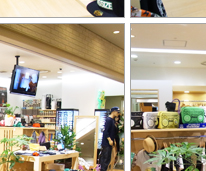 DISSIDENT SHOP INFOMATION