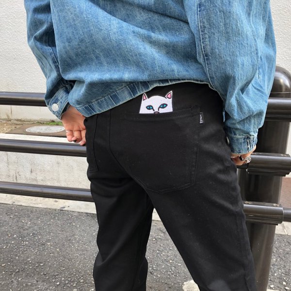 画像8: 【SPRING STYLE】 north (8)