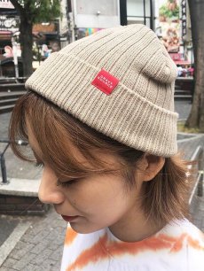 画像3: 【SUMMER STYLE】 north (3)