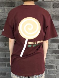 画像4: 【SUMMER STYLE】 north (4)