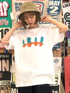 画像3: 【SUMMER STYLE】 north (3)