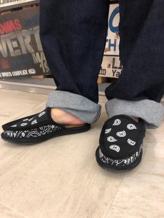 画像5: 【SUMMER STYLE】 north (5)