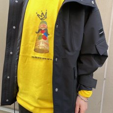 画像3: 【SPRING STYLE】 SAKO (3)