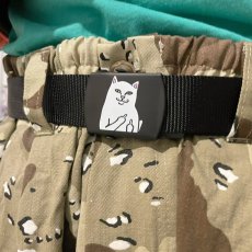 画像6: 【SPRING STYLE】 MIRAI (6)