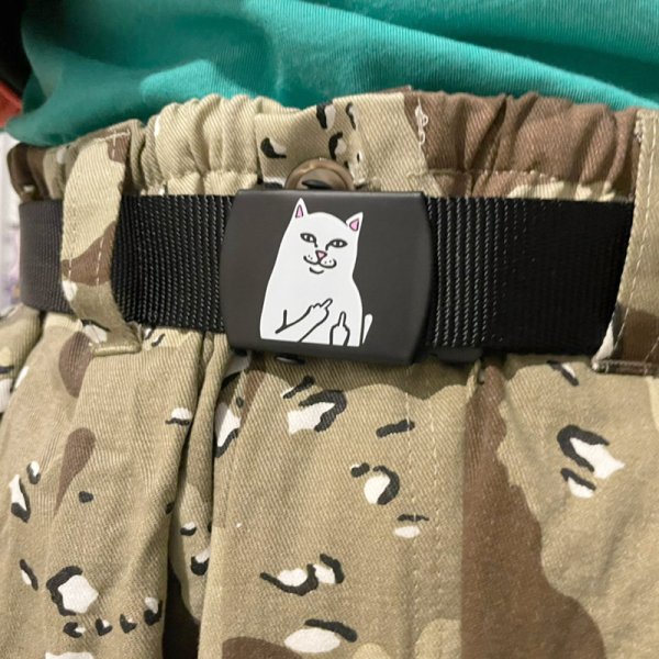 画像6: 【SPRING STYLE】 MIRAI (6)