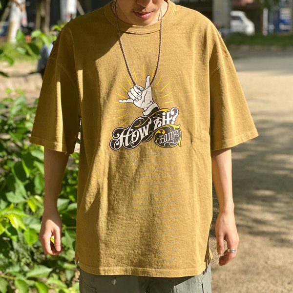 画像3: 【SUMMER STYLE】 SAKO (3)