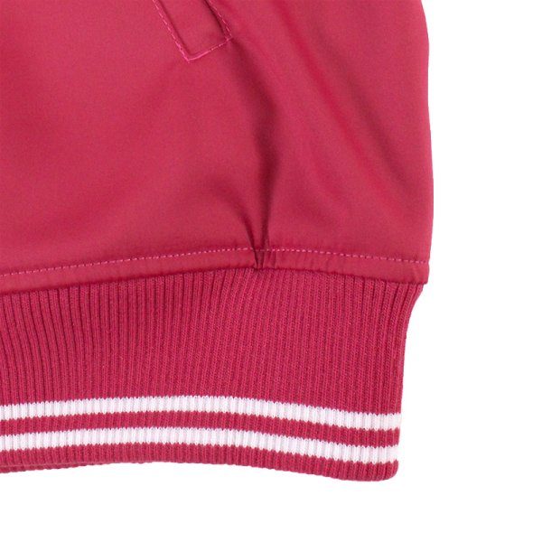 画像8: 【DISSIDENT限定コラボ】GALFY (ガルフィー) × 4649亀 × BUDS “3150犬 スカジャン” (8)