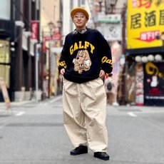 画像1: 【AUTUMN STYLE】 SAKO (1)