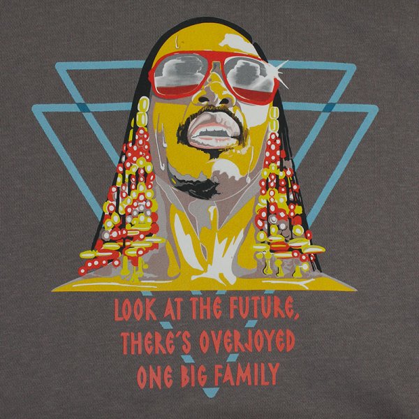 画像4: 【ラストMのみ】PeeTee. (ピーティー) “OVER JOYED HOODY” (4)