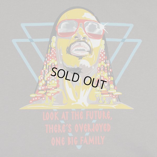 画像4: 【ラストMのみ】PeeTee. (ピーティー) “OVER JOYED HOODY” (4)