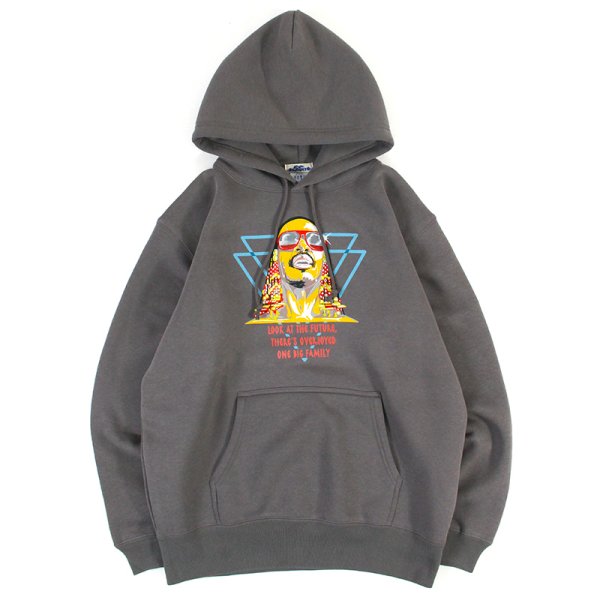 画像1: 【ラストMのみ】PeeTee. (ピーティー) “OVER JOYED HOODY” (1)