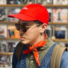 画像3: 【SPRING STYLE】 SAKO (3)