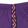 画像8: Mitchell & Ness（ミッチェルアンドネス）“ALL STAR EAST 1995-96 SWINGMAN SHORTS” (8)