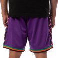 画像10: Mitchell & Ness（ミッチェルアンドネス）“ALL STAR EAST 1995-96 SWINGMAN SHORTS” (10)