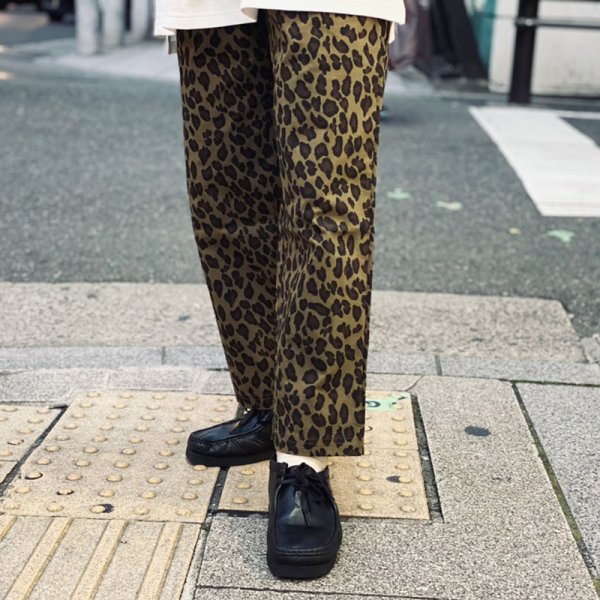 画像4: 【SUMMER STYLE】 SAKO (4)