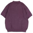 画像2: 【ラストLのみ】BUDS（バッズ）“KNIT BIG POLO SHIRT” (2)