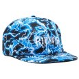 画像1: RIPNDIP (リップンディップ) “NIKOLA 6 PANEL” (1)