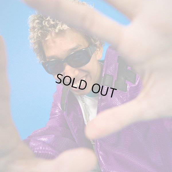 画像16: 【ラスト中型犬（L）のみ】GALFY(ガルフィー) “ヘビ JKT” (16)