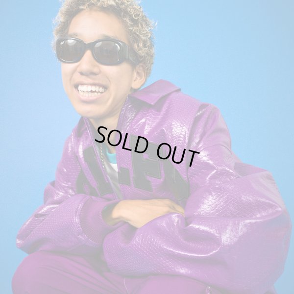 画像17: 【ラスト中型犬（L）のみ】GALFY(ガルフィー) “ヘビ JKT” (17)