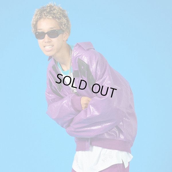 画像13: 【ラスト中型犬（L）のみ】GALFY(ガルフィー) “ヘビ JKT” (13)