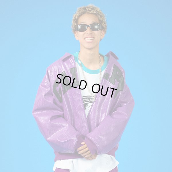 画像12: 【ラスト中型犬（L）のみ】GALFY(ガルフィー) “ヘビ JKT” (12)