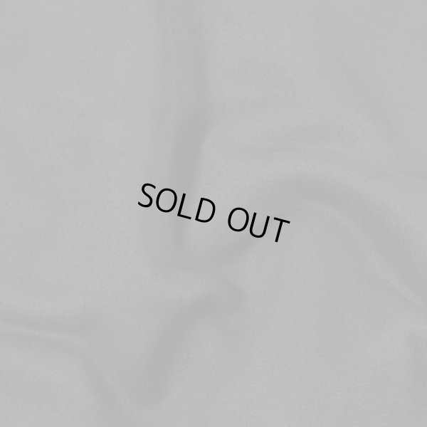 画像10: 【ラストXLのみ】BUDS（バッズ）“HARSH FRUIT LIAR LOOSE HOODIE” (10)