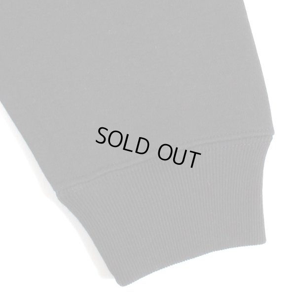 画像10: 【ラストLのみ】BUDS（バッズ）“EAGLE ZIP HOOD” (10)