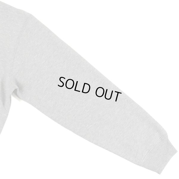 画像9: 【ラストXLのみ】BUDS（バッズ）“EAGLE ZIP HOOD” (9)