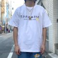 画像5: 【EARLY SPRING STYLE】maechang (5)