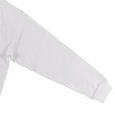 画像5: 【ラストXLのみ】BUDS（バッズ）“HARSH FRUIT BIG L/S TEE” (5)
