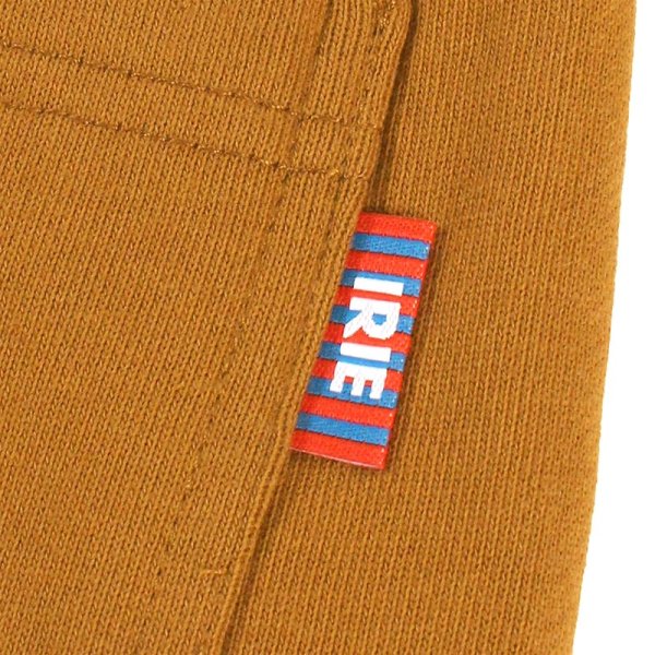 画像9: 【ラストMのみ】IRIE by irielife(アイリー バイ アイリーライフ) “LOGO SWEAT SHORTS” (9)
