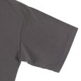 画像7: 【ラストLのみ】BUDS（バッズ）“DAMAGE TEE” (7)