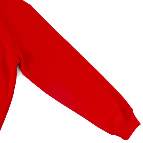 画像8: KINGSIZE（キングサイズ）“ROLLIN 2 HOOD SWEAT” (8)