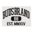 画像1: BUDS（バッズ）“EST CUTTING STICKER” (1)