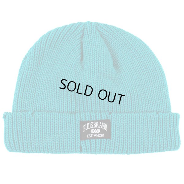 画像1: BUDS（バッズ） “DAMAGE BEANIE” (1)