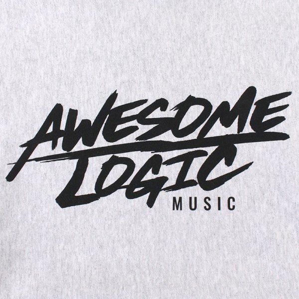 画像4: 【ラストXXLのみ】KINGSIZE（キングサイズ）ｘCHEHON “AWESOME LOGIC HOODY” (4)