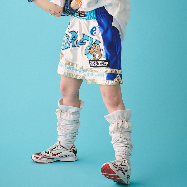 画像1: 【ラスト大型犬（XL）のみ】GALFY(ガルフィー) “ガルフィーの強強的ハイキッカーパンツ” (1)