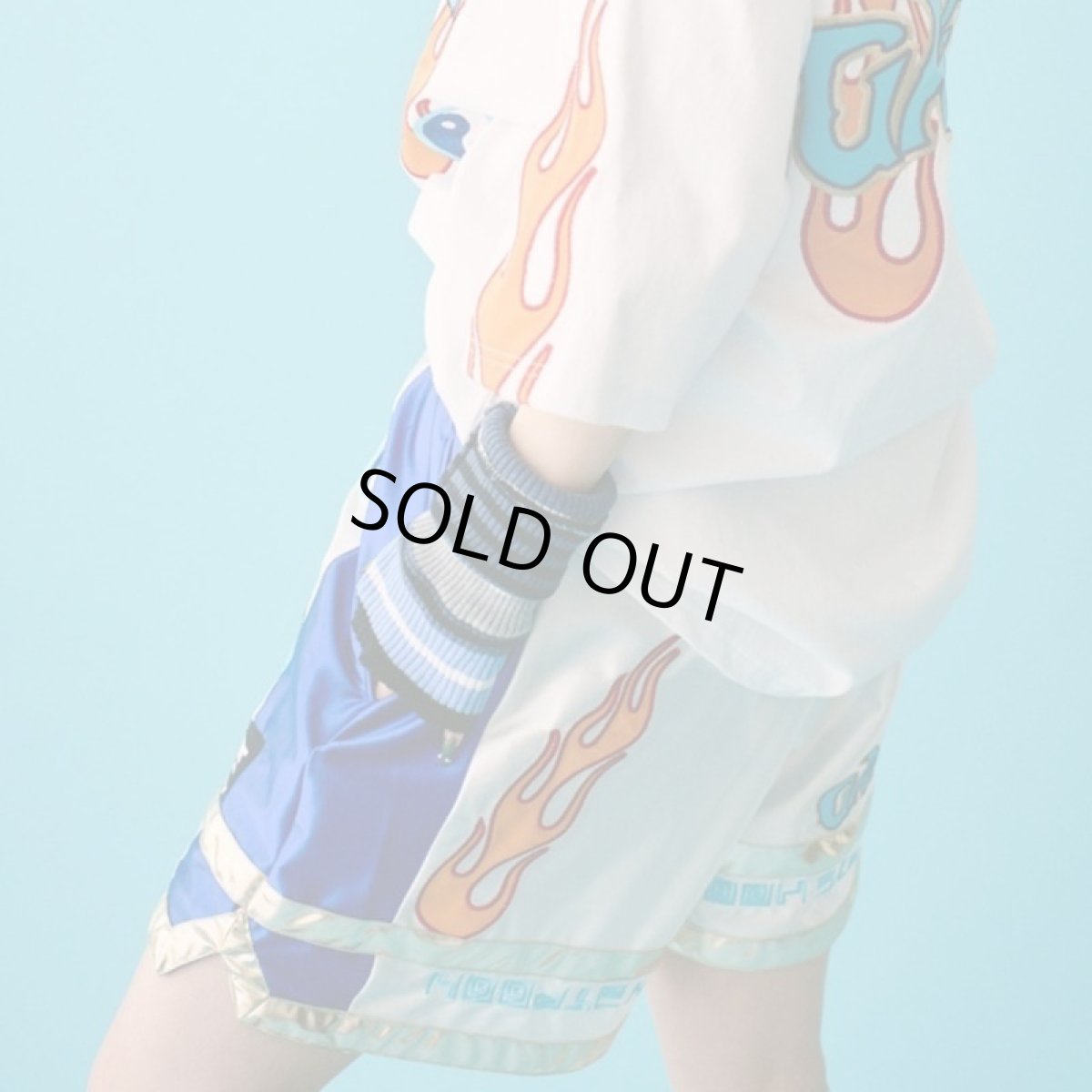 画像11: 【半額】【ラスト大型犬（XL）のみ】GALFY(ガルフィー) “ガルフィーの強強的ハイキッカーパンツ” (11)