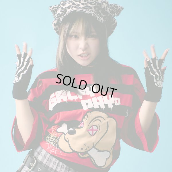 画像1: 【ラスト中型犬（L）のみ】GALFY(ガルフィー) “GALFY DAYo ボーダー Tee” (1)