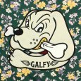 画像8: 【ラスト大型犬（XL）のみ】GALFY(ガルフィー) “ボタニガルフィー Tee” (8)