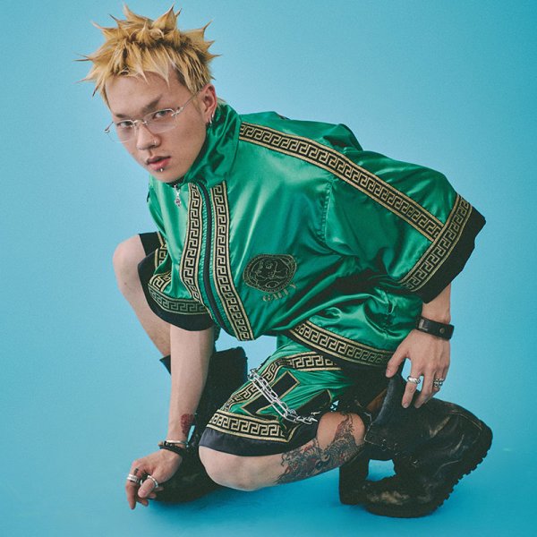 画像23: 【ラスト中型犬(L)のみ】GALFY(ガルフィー) “ゴージャスセットアップ” (23)