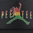 画像8: PeeTee. (ピーティー) “SKETCH AIR MARLEY MESH CAP” (8)