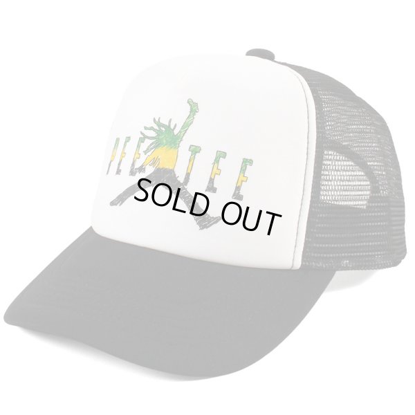 画像1: PeeTee. (ピーティー) “SKETCH AIR MARLEY MESH CAP” (1)