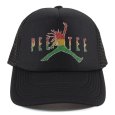 画像2: PeeTee. (ピーティー) “SKETCH AIR MARLEY MESH CAP” (2)