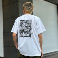 画像10: KINGSIZE（キングサイズ）“HIT&RUN TEE” (10)
