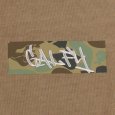 画像5: GALFY(ガルフィー) “ガルフィーカモボックスロゴ Tee” (5)