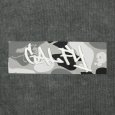画像5: 【ラスト大型犬（XL）のみ】GALFY(ガルフィー) “ガルフィーカモボックスロゴ Tee” (5)