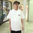 画像11: 【ラストXLのみ】KINGSIZE（キングサイズ）“CASPER LOGO TEE” (11)