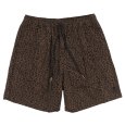 画像1: KINGSIZE（キングサイズ）“LEOPARD SHORTS” (1)