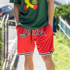 画像11: IRIE by irielife(アイリー バイ アイリーライフ) “B.B MESH SHORTS” (11)